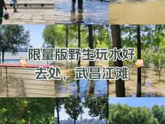-武昌江滩