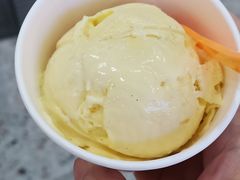 -iceason爱茜茜里·意大利健康冰淇淋(骑龙巷店)