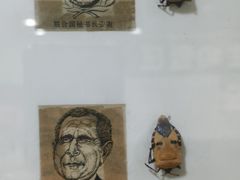 -上海大自然野生昆虫馆