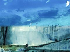 -珠海长隆海洋王国