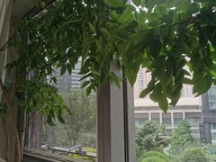 -精德口腔·种植修复·儿牙中心(财富中心店)