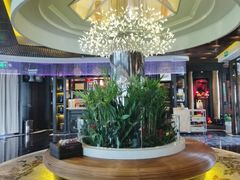 -润园四季椰子鸡火锅(海上世界店)