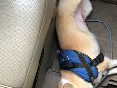 -胖哥俩肉蟹煲(苏州中心店)
