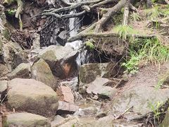 -芦芽山旅游度假区