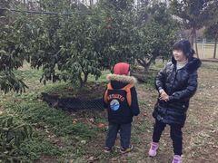 -前小桔亲子创意农场·草莓采摘·露营烧烤