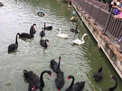 -无锡动物园·太湖欢乐园