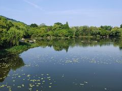 -桃花岛景观公园