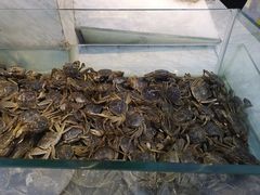 -川骄海鲜自助(河东店)