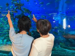 -亚特兰蒂斯•OSSIANO奥西亚诺海底餐厅