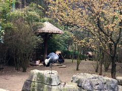 -黔灵山公园