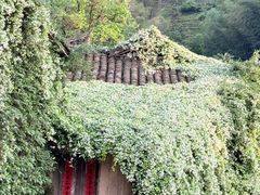 -杨家堂村