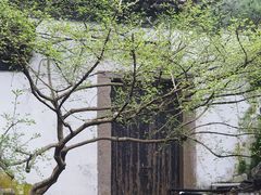 -汇龙潭