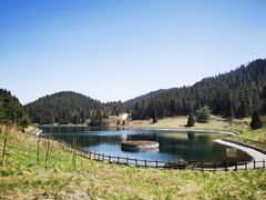 -武陵山森林公园