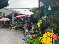 -曲阳花鸟市场(曲阳路店)