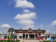 -上海都市菜园