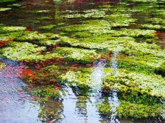 -水磨沟公园