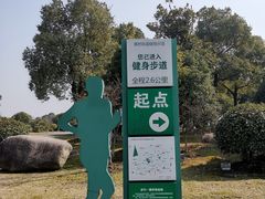 -荷塘月色湿地公园·向阳花洲