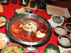-谭鸭血老火锅(万象九宜城店)