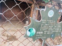 -意大利农场度假村