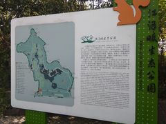 -西湖风景区-江洋畈生态公园