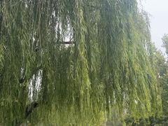 -竹泉村旅游度假区