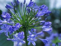 -悦见花开·花园里的火锅·露营·下午茶
