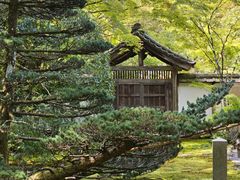 -西芳寺(苔寺)