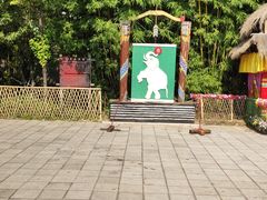 -云南民族村