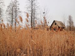 -池杉湖湿地公园