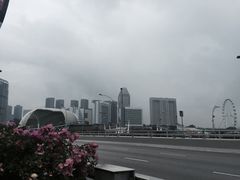-新加坡泛太平洋酒店