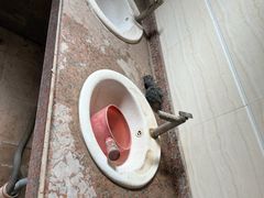 -东郊椰林