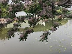 -月湖风景区