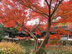 -惠山古镇·寄畅园