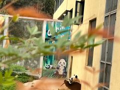 -西安秦岭野生动物园