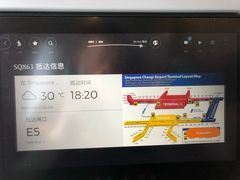 -新加坡航空公司(ION)
