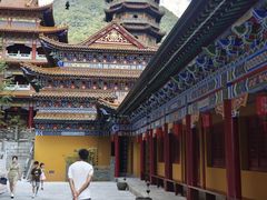 -天目山大树王景区