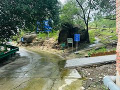 -白水寺森林公园