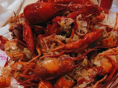 -杨氏青龙虾·羊蝎子(珠江路店)