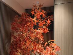 -徽镇小厨·经典徽菜(马连道店)