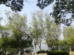 -艾溪湖湿地公园