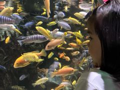 -太平洋海底世界