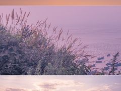 -枸杞岛