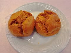 -五谷芳乳鸽王(梅沙老店)