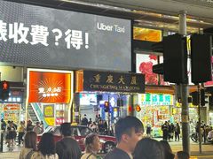 -九龙公园