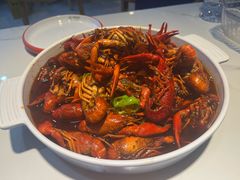 -堕落小龙虾(兰州旗舰店)