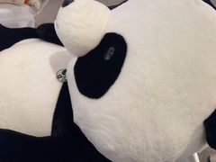 -眉州东坡(东坝店)