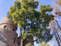 -J Create城市露营咖啡·简餐·宠物(上海动物园店)