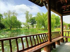 -梁鸿国家湿地公园