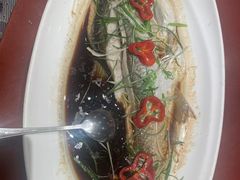 天然白刀鱼-天福海鲜酒楼·闽菜海鲜·宴请聚会(五四路店)