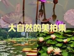 -国家植物园南园